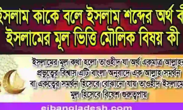 কাকে বলে ইসলাম শব্দের অর্থ কি ইসলামের মূল ভিত্তি মৌলিক বিষয় কয়টি