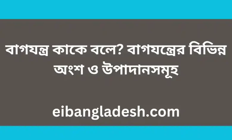 কাকে বলে বাগযন্ত্রের বিভিন্ন অংশ ও উপাদানসমূহ