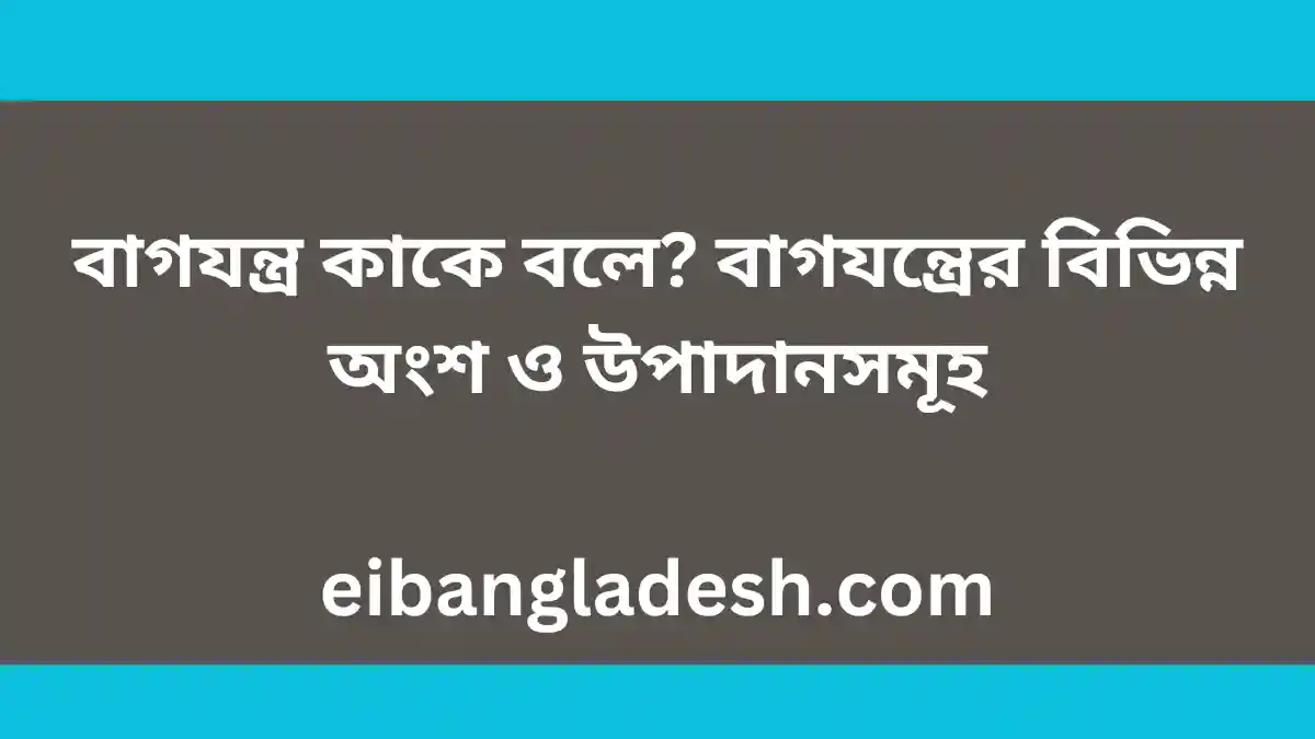 বাগযন্ত্র কাকে বলে বাগযন্ত্রের বিভিন্ন অংশ ও উপাদানসমূহ