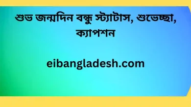 জন্মদিন বন্ধু স্ট্যাটাস শুভেচ্ছা ক্যাপশন