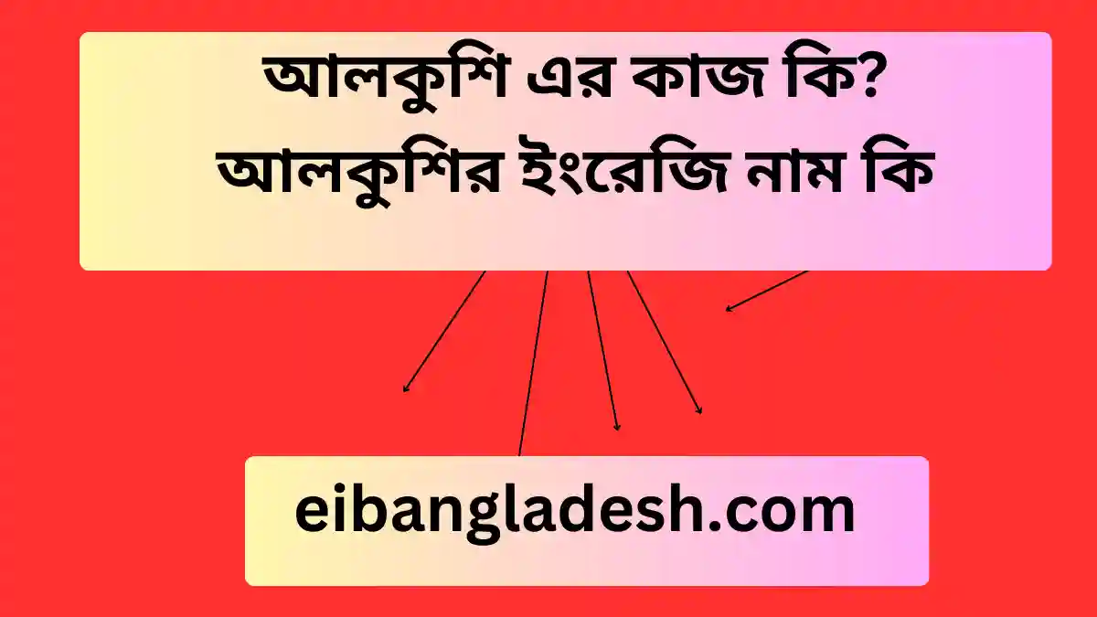 আলকুশি এর কাজ কি