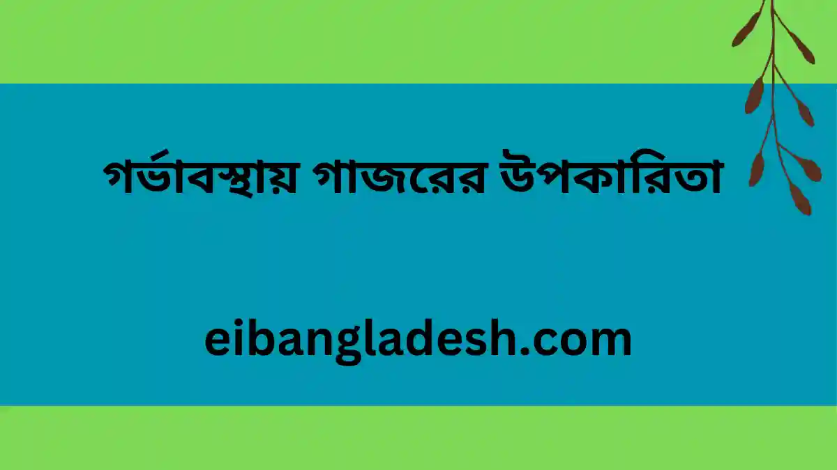 গর্ভাবস্থায় গাজরের উপকারিতা 