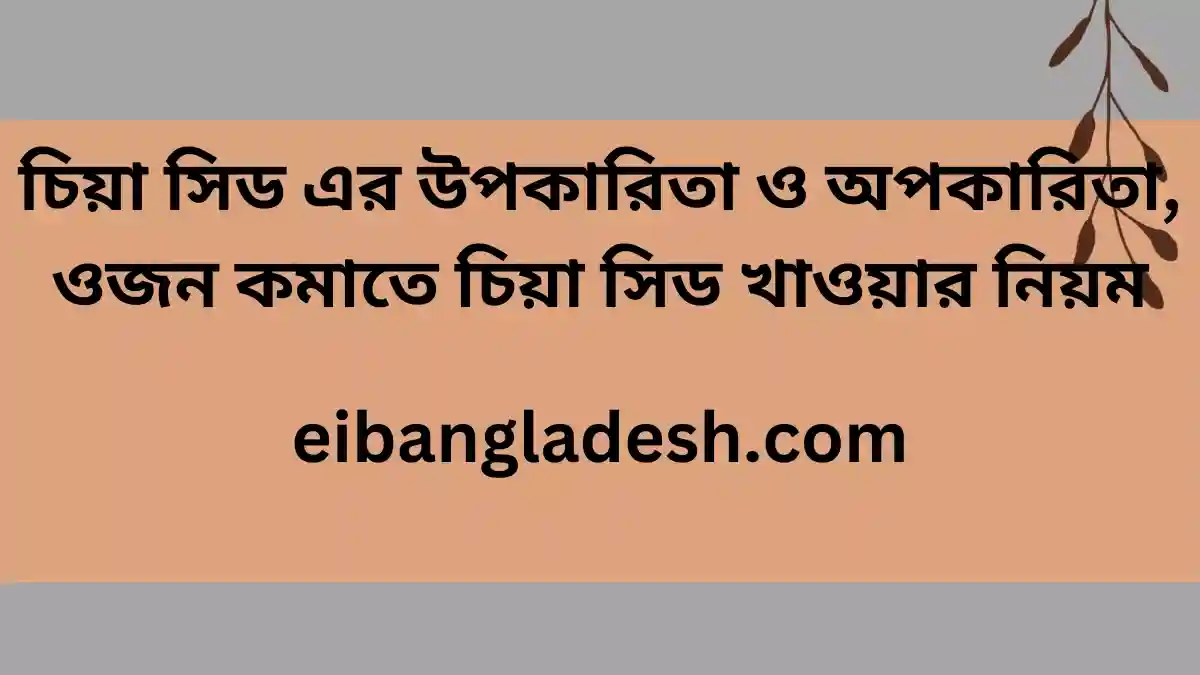 চিয়া সিড এর উপকারিতা ও অপকারিতা, ওজন কমাতে চিয়া সিড খাওয়ার নিয়ম