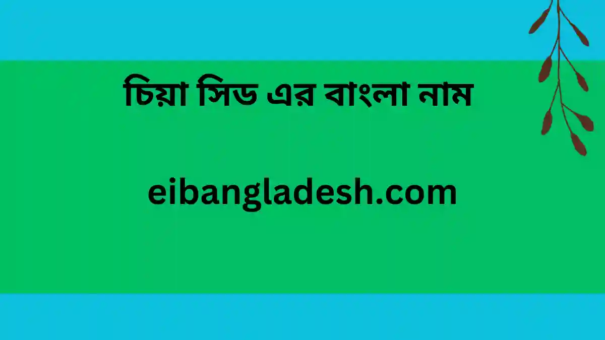 চিয়া সিড এর বাংলা নাম 