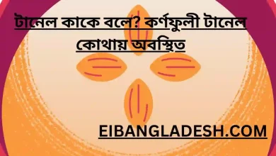 টানেল কাকে বলে কর্ণফুলী টানেল কোথায় অবস্থিত