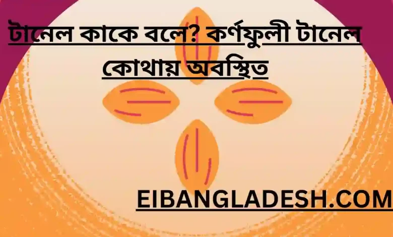 টানেল কাকে বলে কর্ণফুলী টানেল কোথায় অবস্থিত