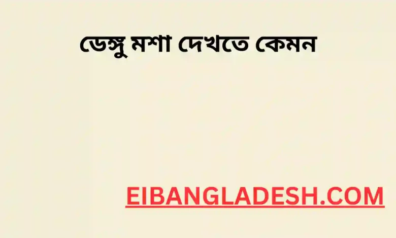 ডেঙ্গু মশা দেখতে কেমন