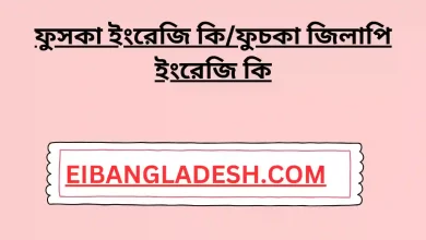 ফুসকা ইংরেজি কিফুচকা জিলাপি ইংরেজি কি