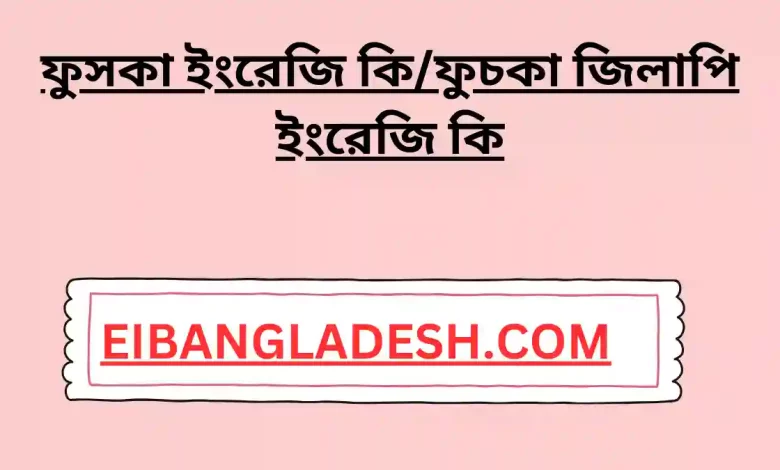 ফুসকা ইংরেজি কিফুচকা জিলাপি ইংরেজি কি