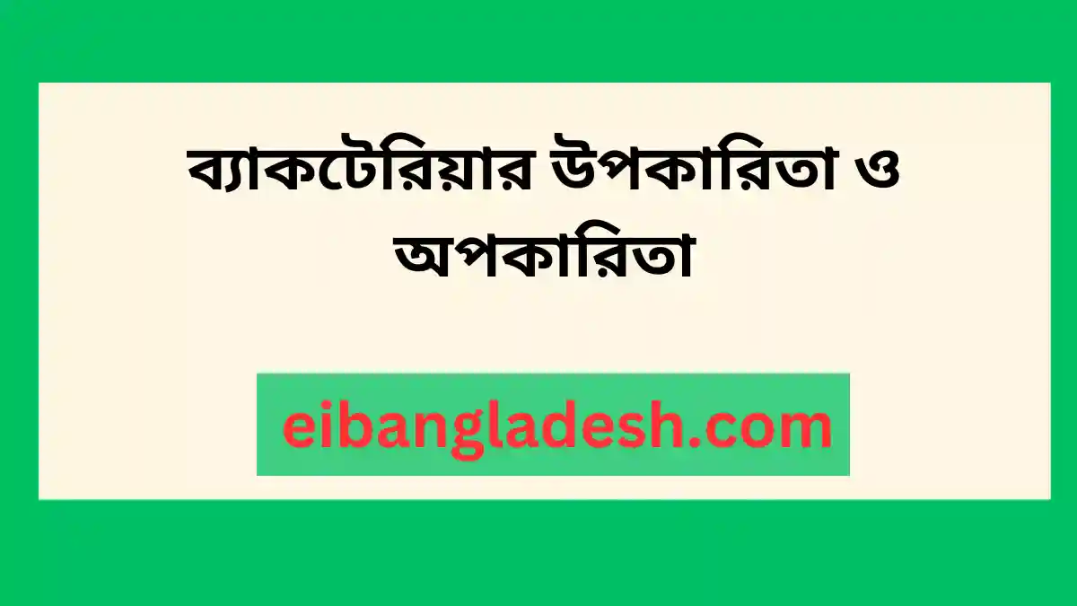 ব্যাকটেরিয়ার উপকারিতা ও অপকারিতা