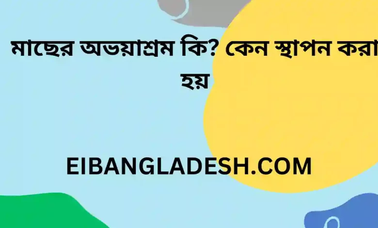 মাছের অভয়াশ্রম কি কেন স্থাপন করা হয়