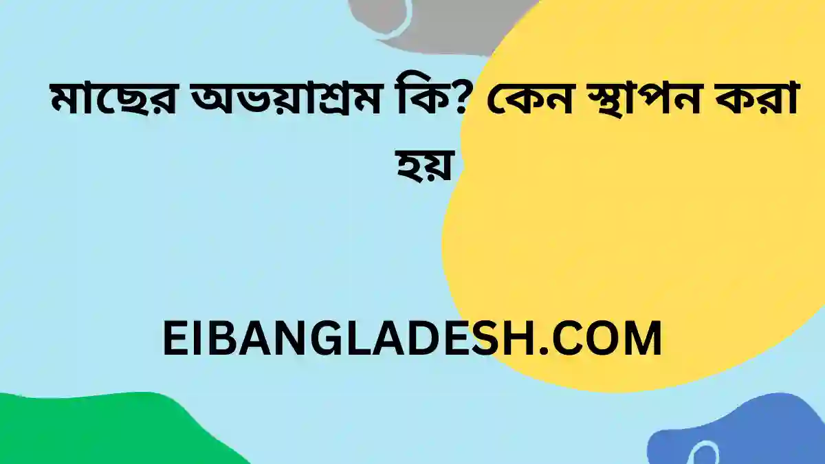 মাছের অভয়াশ্রম কি কেন স্থাপন করা হয়