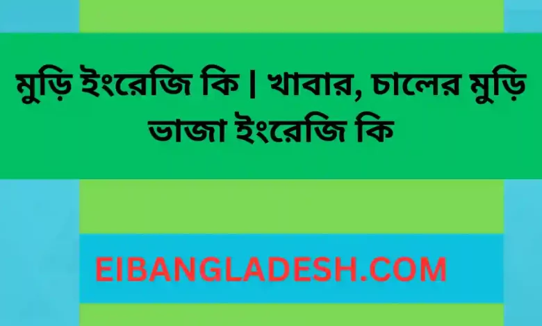 মুড়ি ইংরেজি কি খাবার, চালের মুড়ি ভাজা ইংরেজি কি