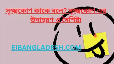 সূক্ষ্মকোণ কাকে বলে সূক্ষ্মকোণ এর উদাহরণ ও বৈশিষ্ট্য