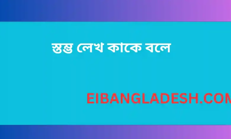 স্তম্ভ লেখ কাকে বলে