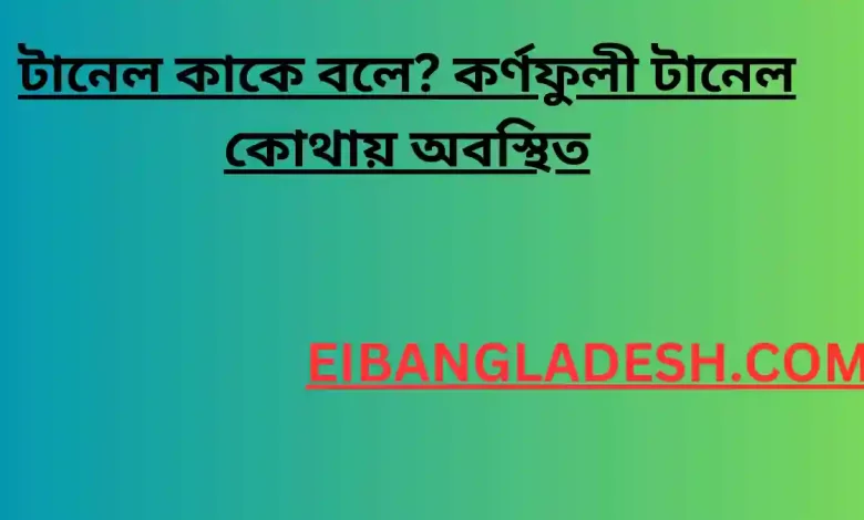 অন্তঃস্থ কোণ কাকে বলে পূর্ণাঙ্গ বিবরণ চিত্র সহ 