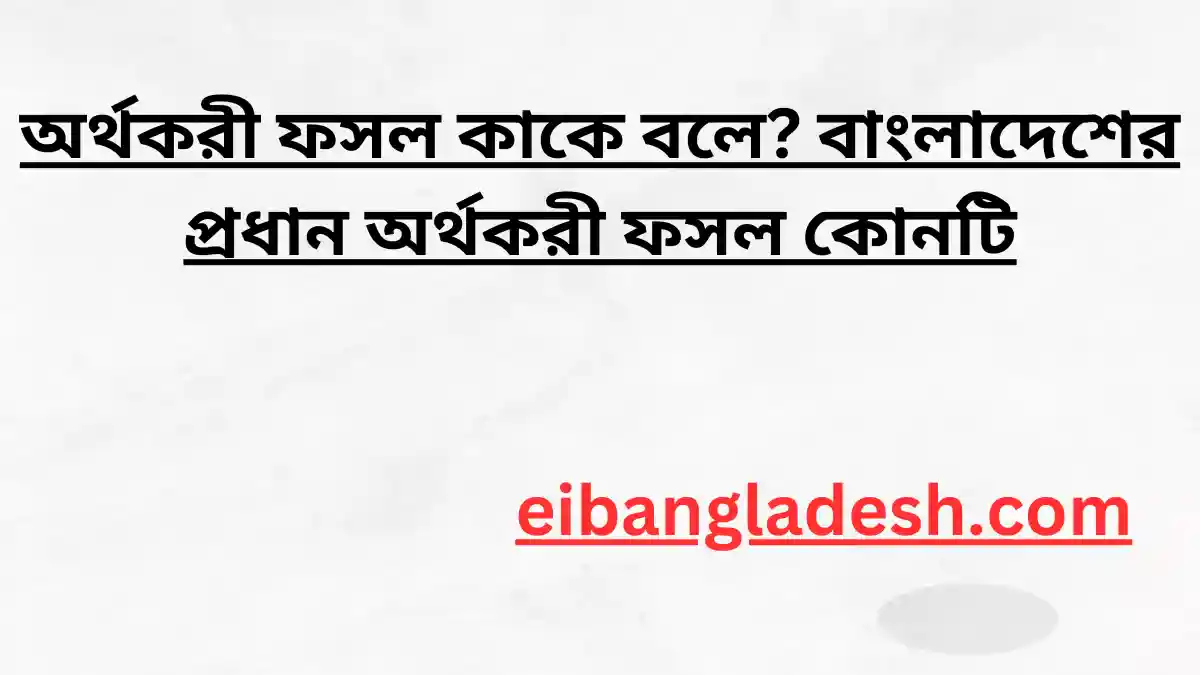 অর্থকরী ফসল কাকে বলে বাংলাদেশের প্রধান অর্থকরী ফসল কোনটি