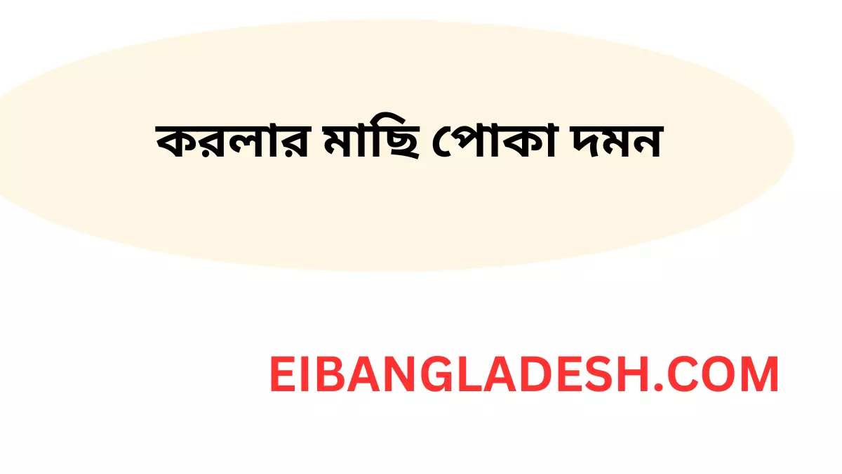 করলার মাছি পোকা দমন  