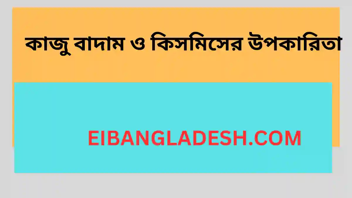 কাজু বাদাম ও কিসমিসের উপকারিতা