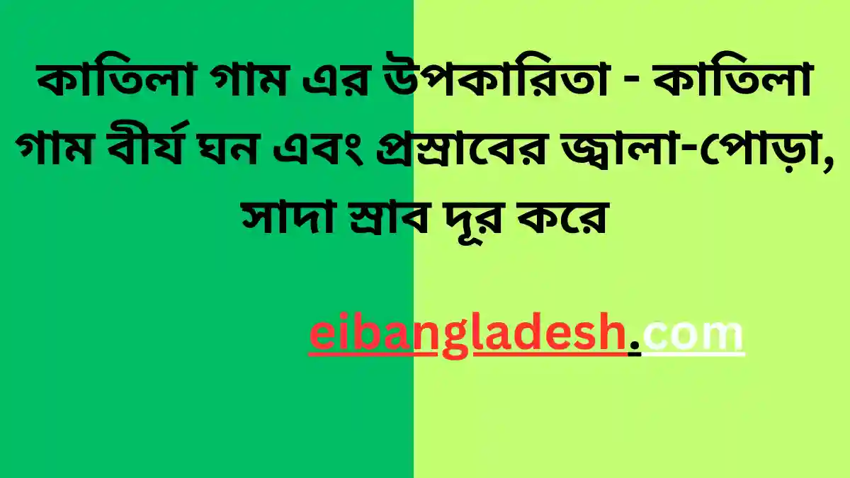 কাতিলা গাম এর উপকারিতা কাতিলা গাম বীর্য ঘন এবং প্রস্রাবের জ্বালা পোড়া, সাদা স্রাব দূর