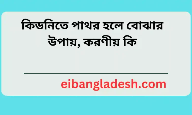 কিডনিতে পাথর হলে বোঝার উপায়, করণীয় কি