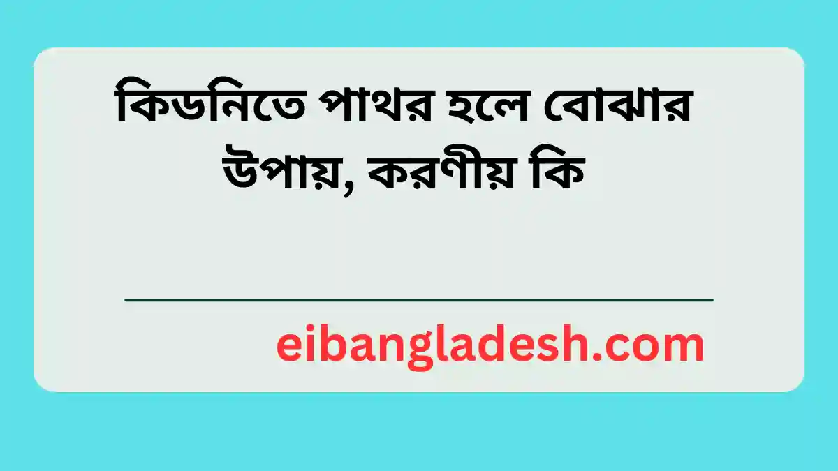 কিডনিতে পাথর হলে বোঝার উপায়, করণীয় কি