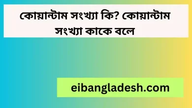 কোয়ান্টাম সংখ্যা কি কোয়ান্টাম সংখ্যা কাকে বলে