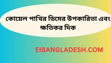 কোয়েল পাখির ডিমের উপকারিতা এবং ক্ষতিকর দিক