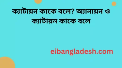 ক্যাটায়ন কাকে বলে অ্যানায়ন ও ক্যাটায়ন কাকে বলে