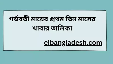 গর্ভবতী মায়ের প্রথম তিন মাসের খাবার তালিকা