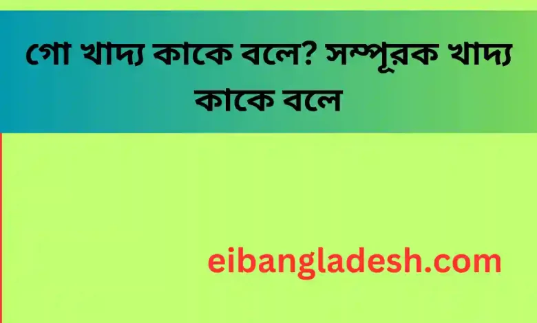 গো খাদ্য কাকে বলে সম্পূরক খাদ্য কাকে বলে