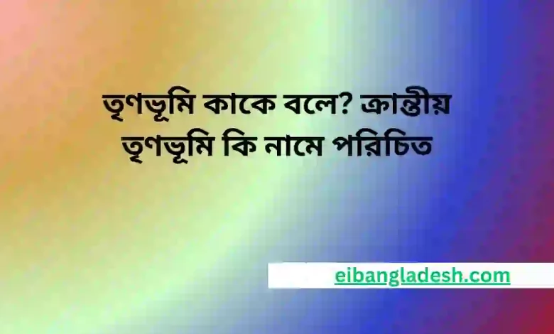 তৃণভূমি কাকে বলে ক্রান্তীয় তৃণভূমি কি নামে পরিচিত