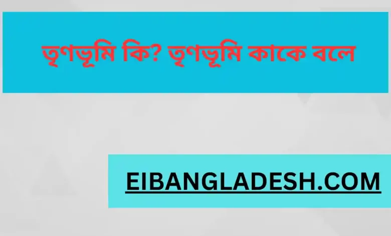 তৃণভূমি কি তৃণভূমি কাকে বলে