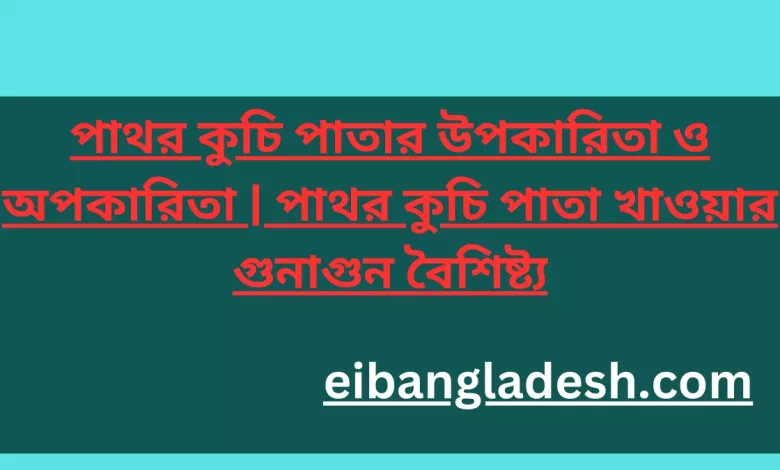 পাথর কুচি পাতার উপকারিতা ও অপকারিতা পাথর কুচি পাতা খাওয়ার গুনাগুন বৈশিষ্ট্য