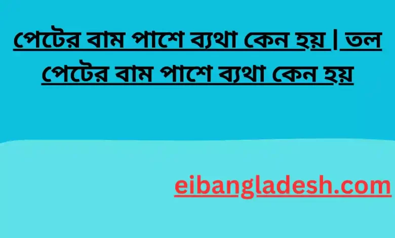 পেটের বাম পাশে ব্যথা কেন হয় তল পেটের বাম পাশে ব্যথা কেন হয়