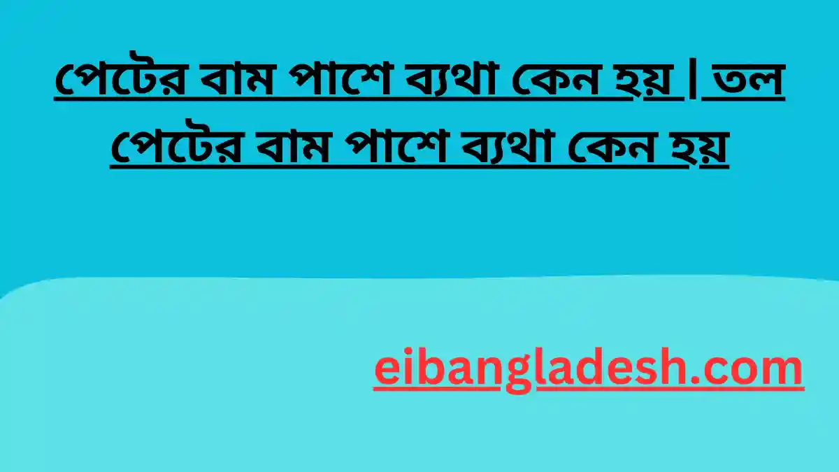 পেটের বাম পাশে ব্যথা কেন হয় তল পেটের বাম পাশে ব্যথা কেন হয়