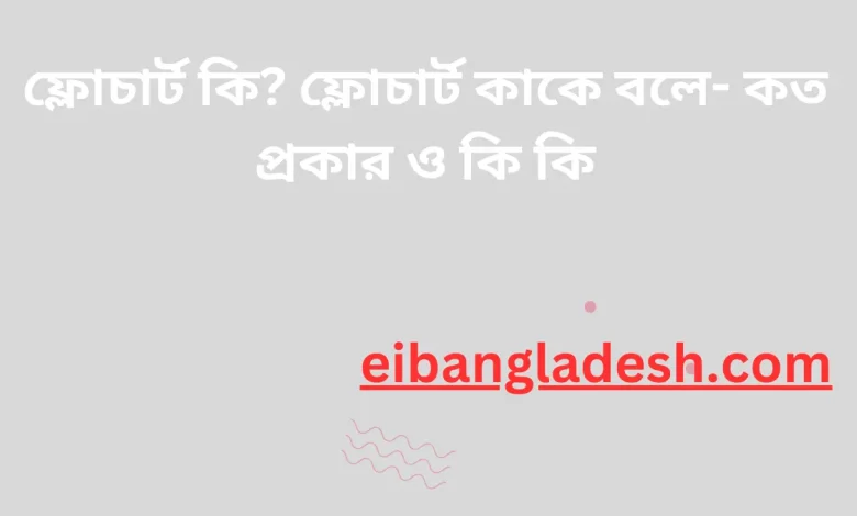 ফ্লোচার্ট কি ফ্লোচার্ট কাকে বলে কত প্রকার ও কি কি