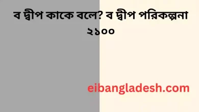 ব দ্বীপ কাকে বলে ব দ্বীপ পরিকল্পনা ২১০০