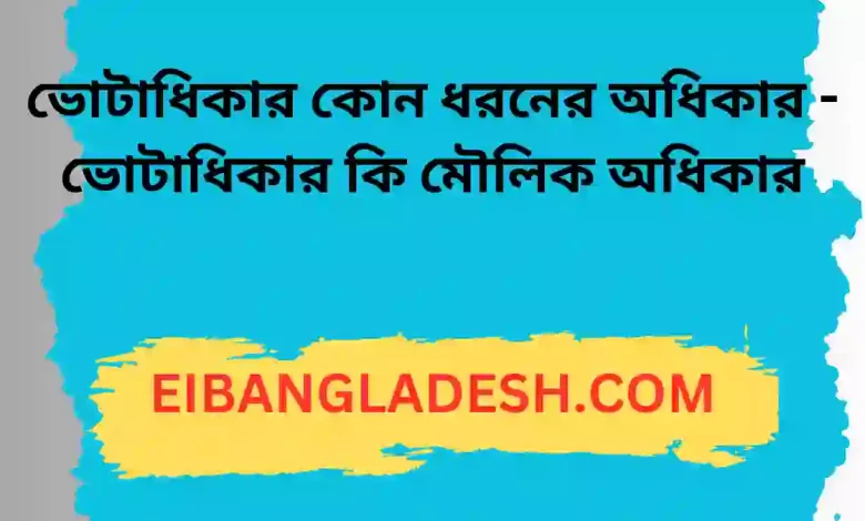 ভোটাধিকার কোন ধরনের অধিকার ভোটাধিকার কি মৌলিক অধিকার