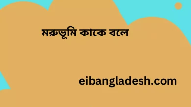 মরুভূমি কাকে বলে   