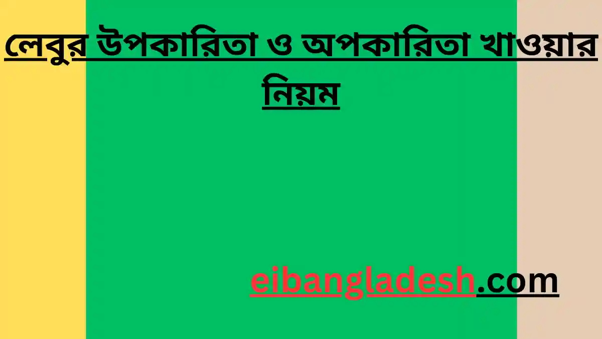 লেবুর উপকারিতা ও অপকারিতা খাওয়ার নিয়ম