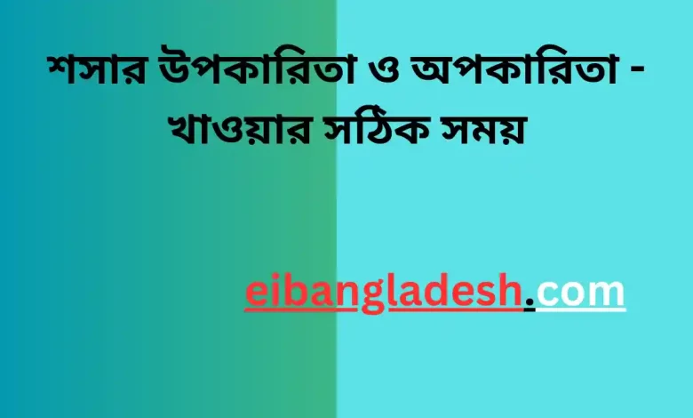 শসার উপকারিতা ও অপকারিতা খাওয়ার সঠিক সময়