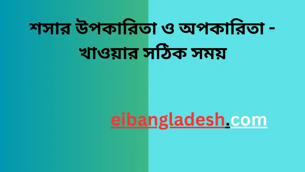 শসার উপকারিতা ও অপকারিতা খাওয়ার সঠিক সময়