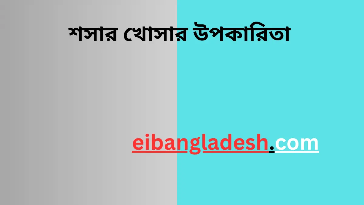 শসার খোসার উপকারিতা