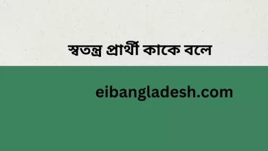 স্বতন্ত্র প্রার্থী কাকে বলে