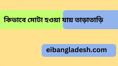 কিভাবে মোটা হওয়া যায় তাড়াতাড়ি