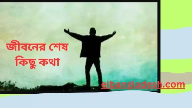 জীবনের শেষ কিছু কথা