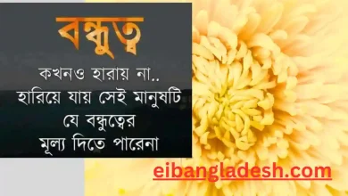 বন্ধুত্ব নিয়ে কিছু কথা, উক্তি, বেস্ট ফ্রেন্ড নিয়ে ক্যাপশন