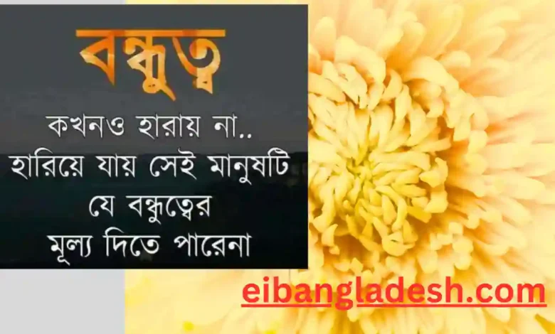 বন্ধুত্ব নিয়ে কিছু কথা, উক্তি, বেস্ট ফ্রেন্ড নিয়ে ক্যাপশন