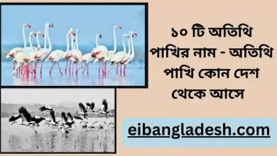 ১০ টি অতিথি পাখির নাম অতিথি পাখি কোন দেশ থেকে আসে  